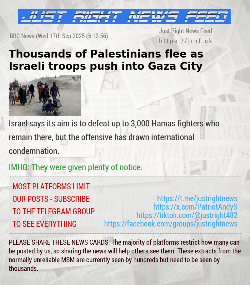 Thousands of Palestinians flee as Israeli troops push into Gaza City