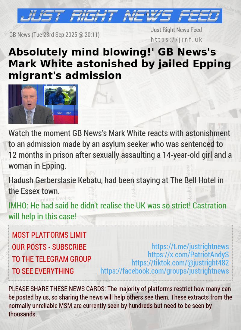 ‘Absolutely mind—blowing!’ GB News’s Mark White astonished by jailed Epping migrant’s admission