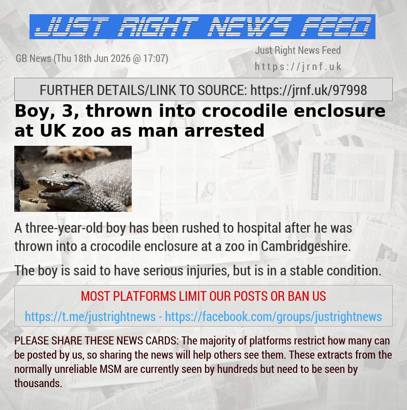 Boy, 3, thrown into crocodile enclosure at UK zoo as man arrested