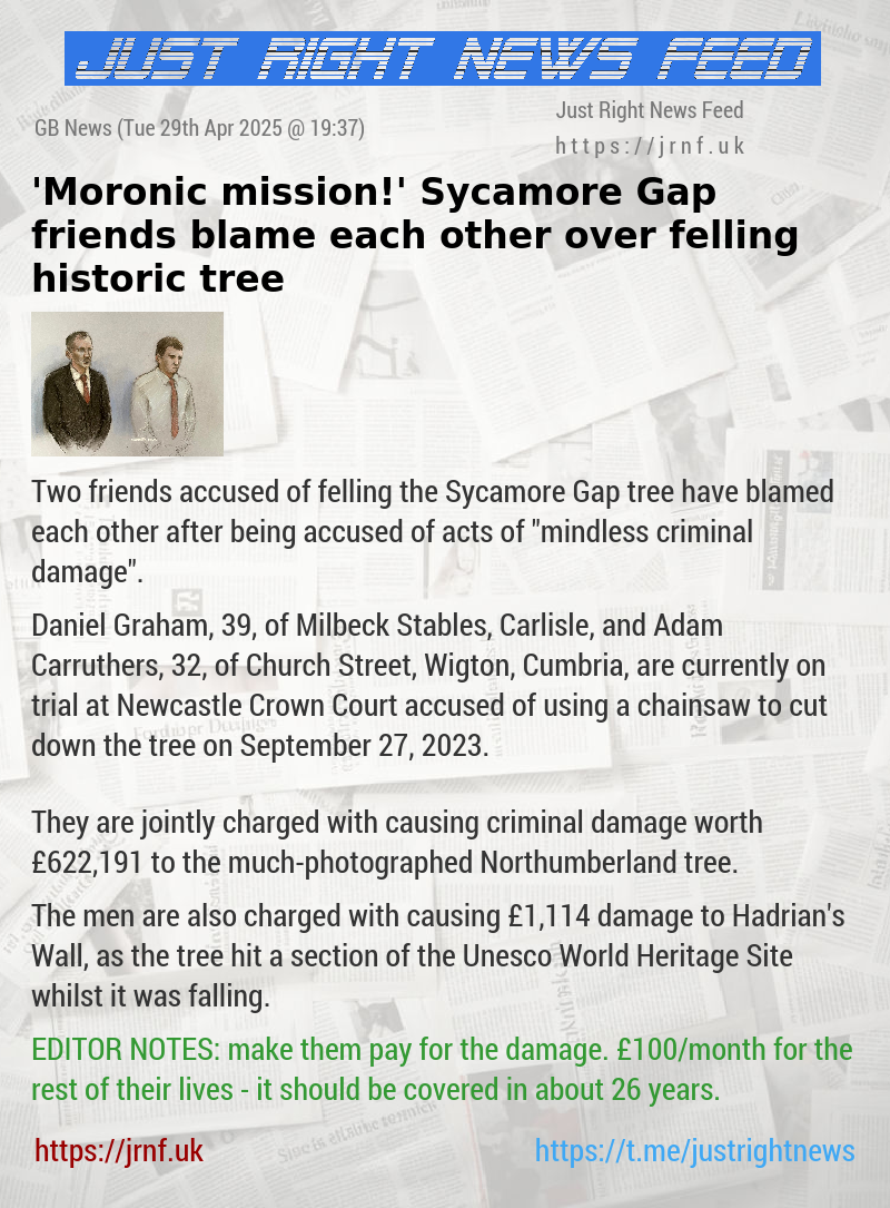 ’Moronic mission!’ Sycamore Gap friends blame each other over felling historic tree