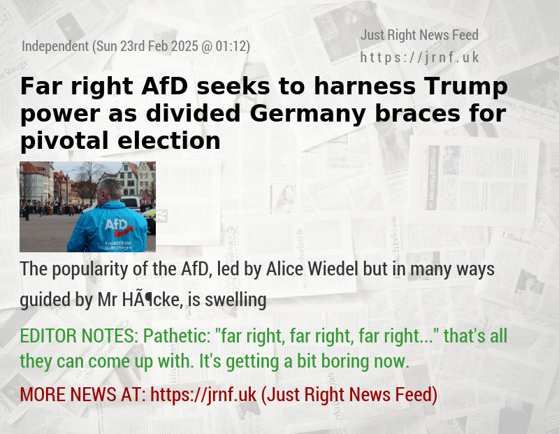 Far—right AfD seeks to harness Trump power as divided Germany braces for pivotal election