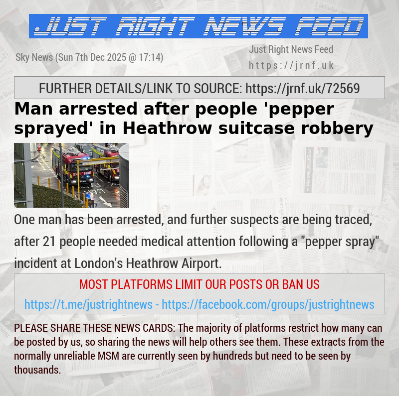 Man arrested after people ’pepper sprayed’ in Heathrow suitcase robbery