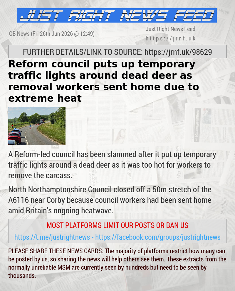 Reform council puts up temporary traffic lights around dead deer as removal workers sent home due to extreme heat