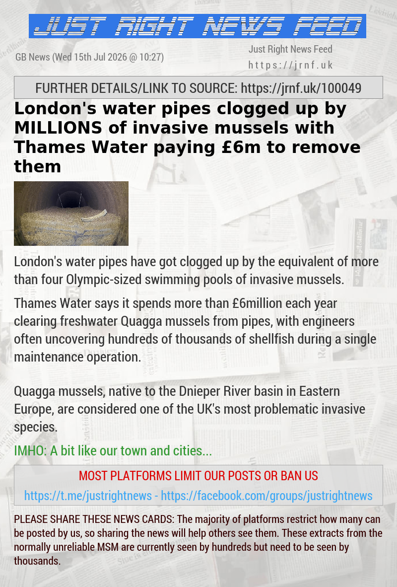 London’s water pipes clogged up by MILLIONS of invasive mussels with Thames Water paying &pound;6m to remove them