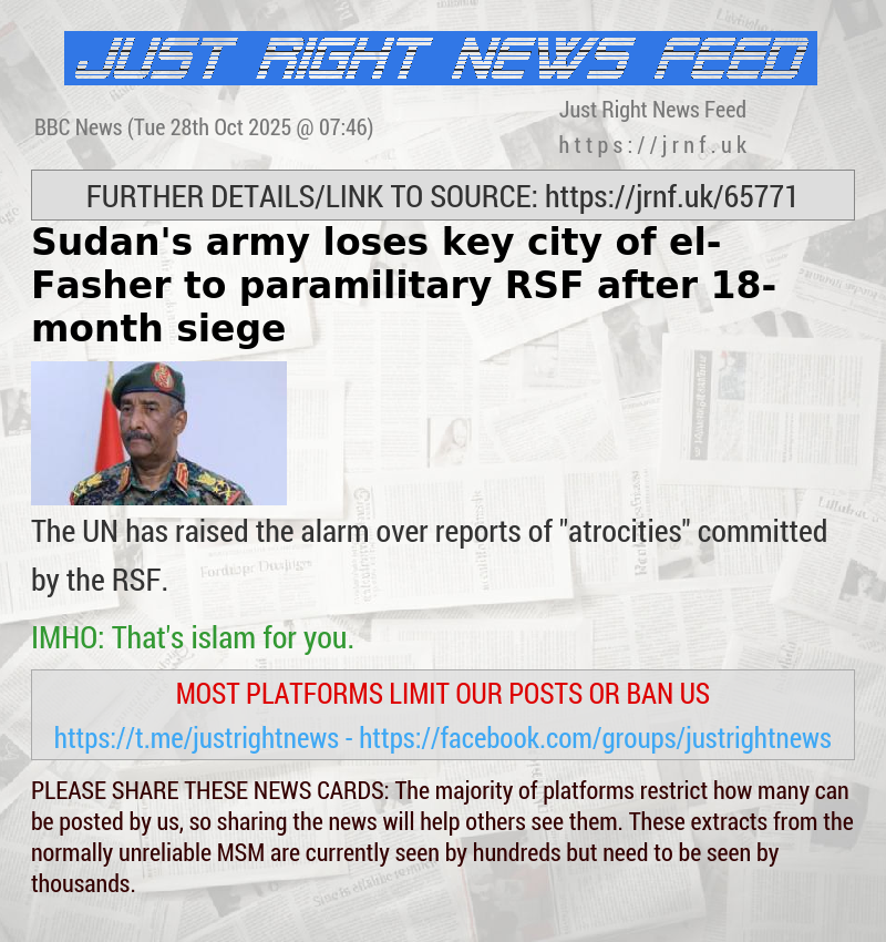 Sudan’s army loses key city of el—Fasher to paramilitary RSF after 18—month siege