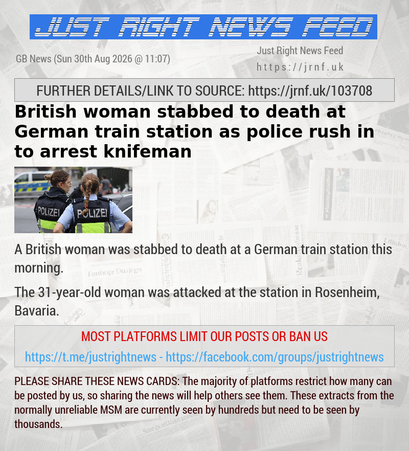 British woman stabbed to death at German train station as police rush in to arrest knifeman