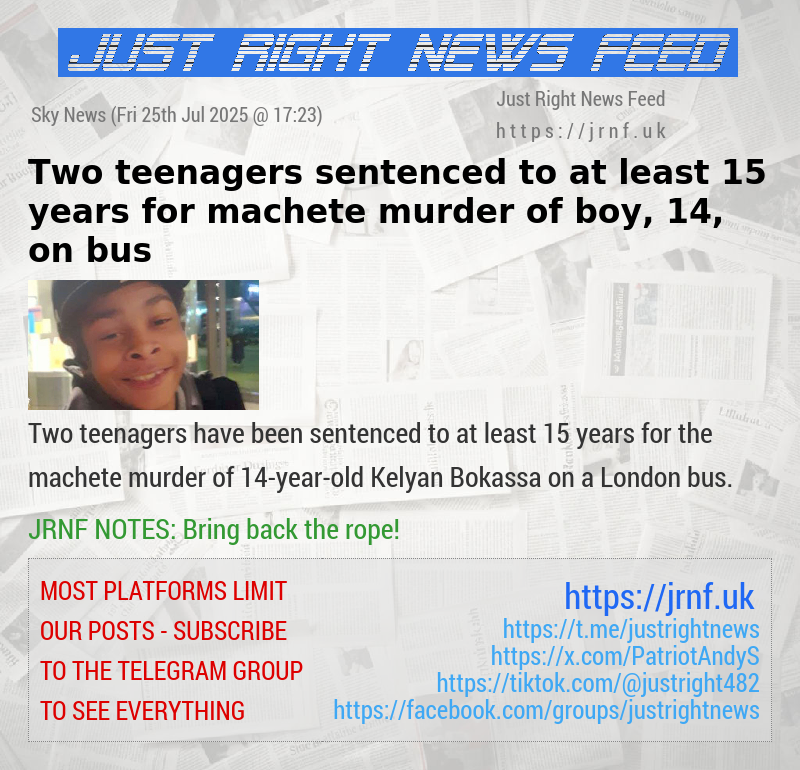 Two teenagers sentenced to at least 15 years for machete murder of boy, 14, on bus
