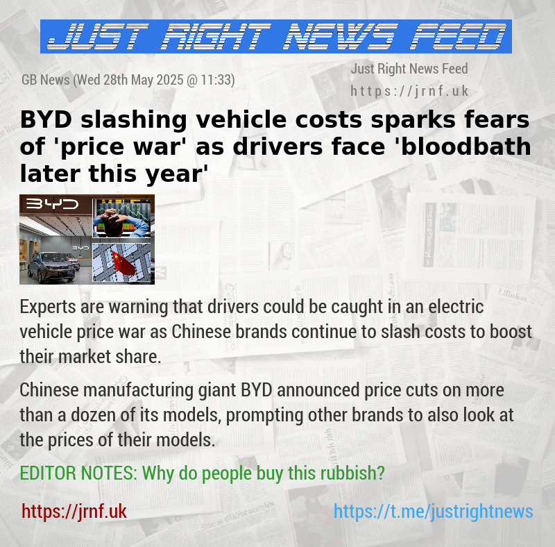 BYD slashing vehicle costs sparks fears of ’price war’ as drivers face ’bloodbath later this year’
