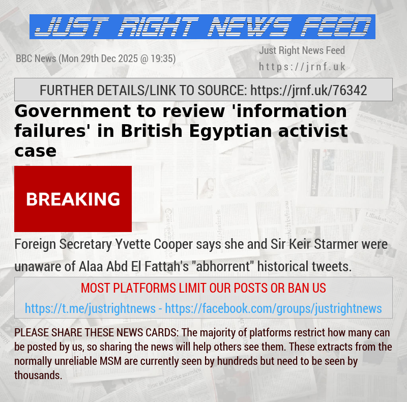 Government to review ’information failures’ in British—Egyptian activist case