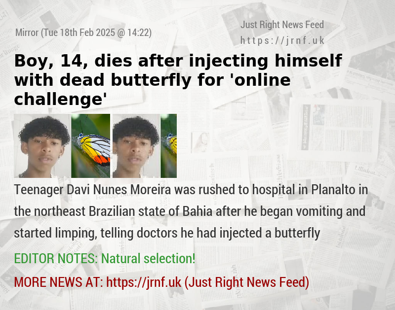 Boy, 14, dies after injecting himself with dead butterfly for ’online challenge’