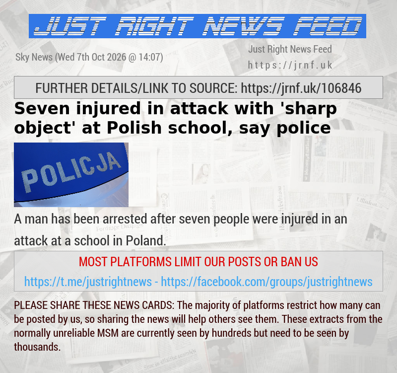 Seven injured in attack with ’sharp object’ at Polish school, say police