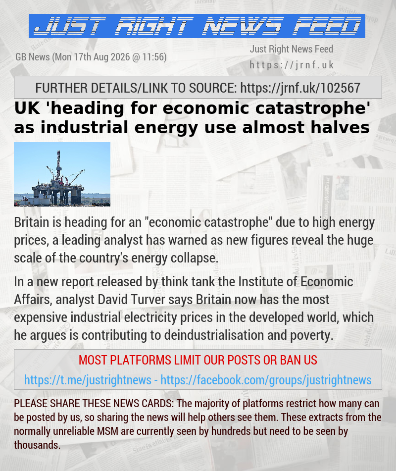 UK ’heading for economic catastrophe’ as industrial energy use almost halves