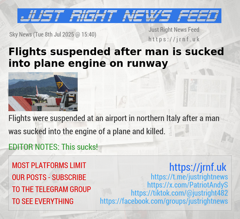 Flights suspended after man is sucked into plane engine on runway