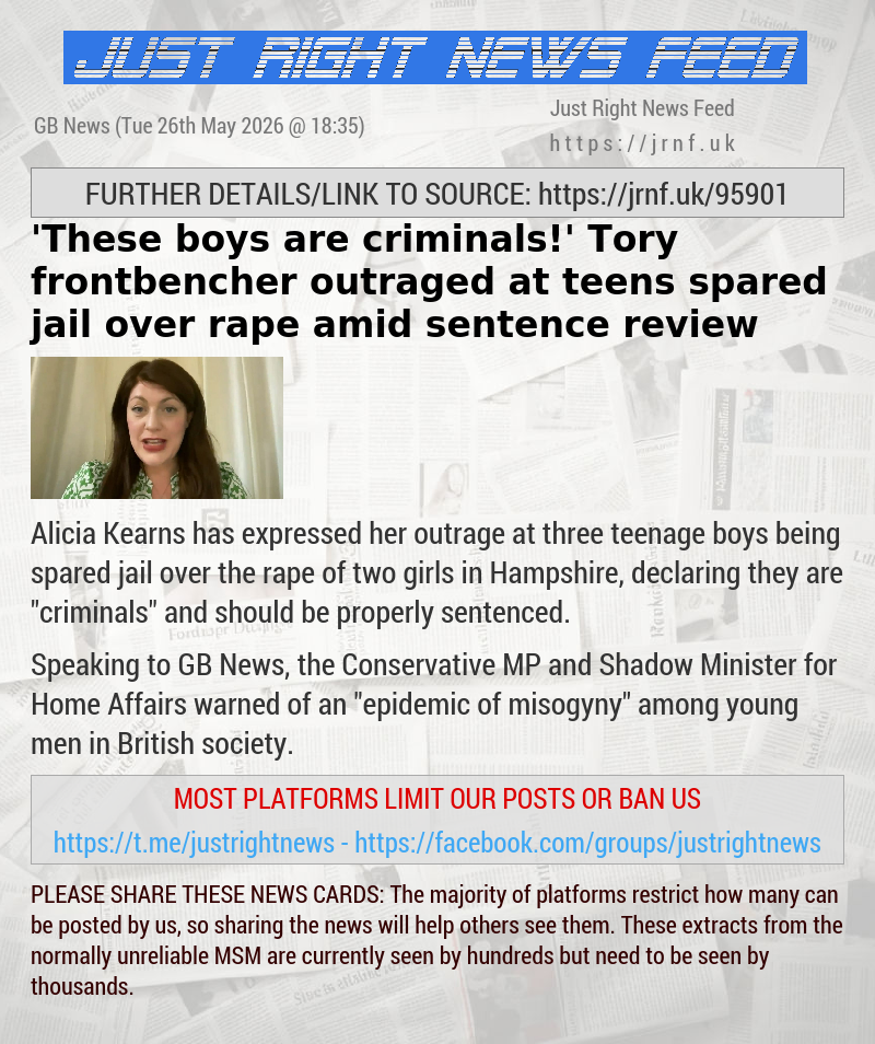 ’These boys are criminals!’ Tory frontbencher outraged at teens spared jail over rape amid sentence review