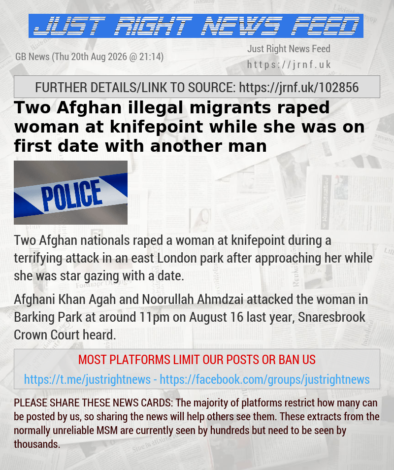 Two Afghan illegal migrants raped woman at knifepoint while she was on first date with another man