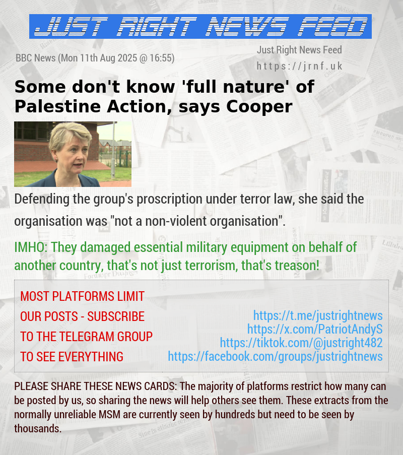 Some don’t know ’full nature’ of Palestine Action, says Cooper