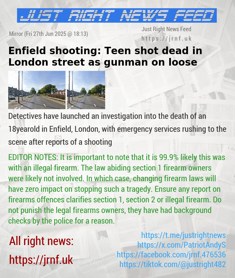 Enfield shooting: Teen shot dead in London street as gunman on loose