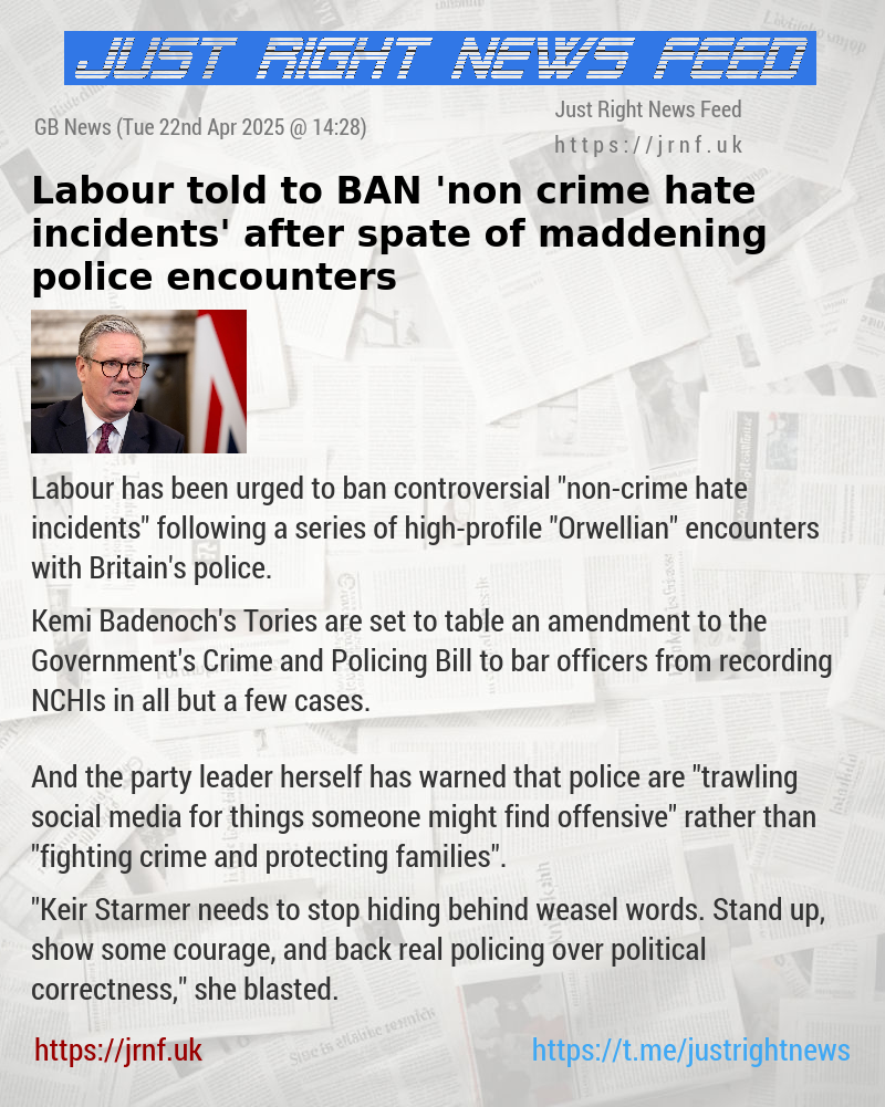 Labour told to BAN ’non—crime hate incidents’ after spate of maddening police encounters