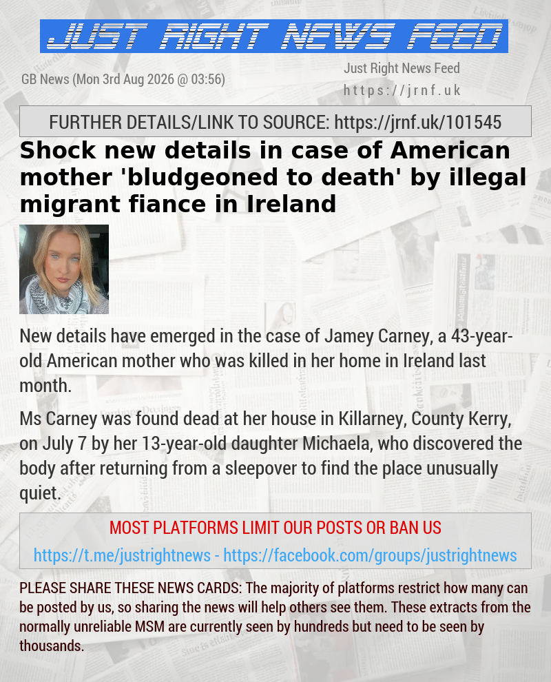 Shock new details in case of American mother ’bludgeoned to death’ by illegal migrant fiance in Ireland