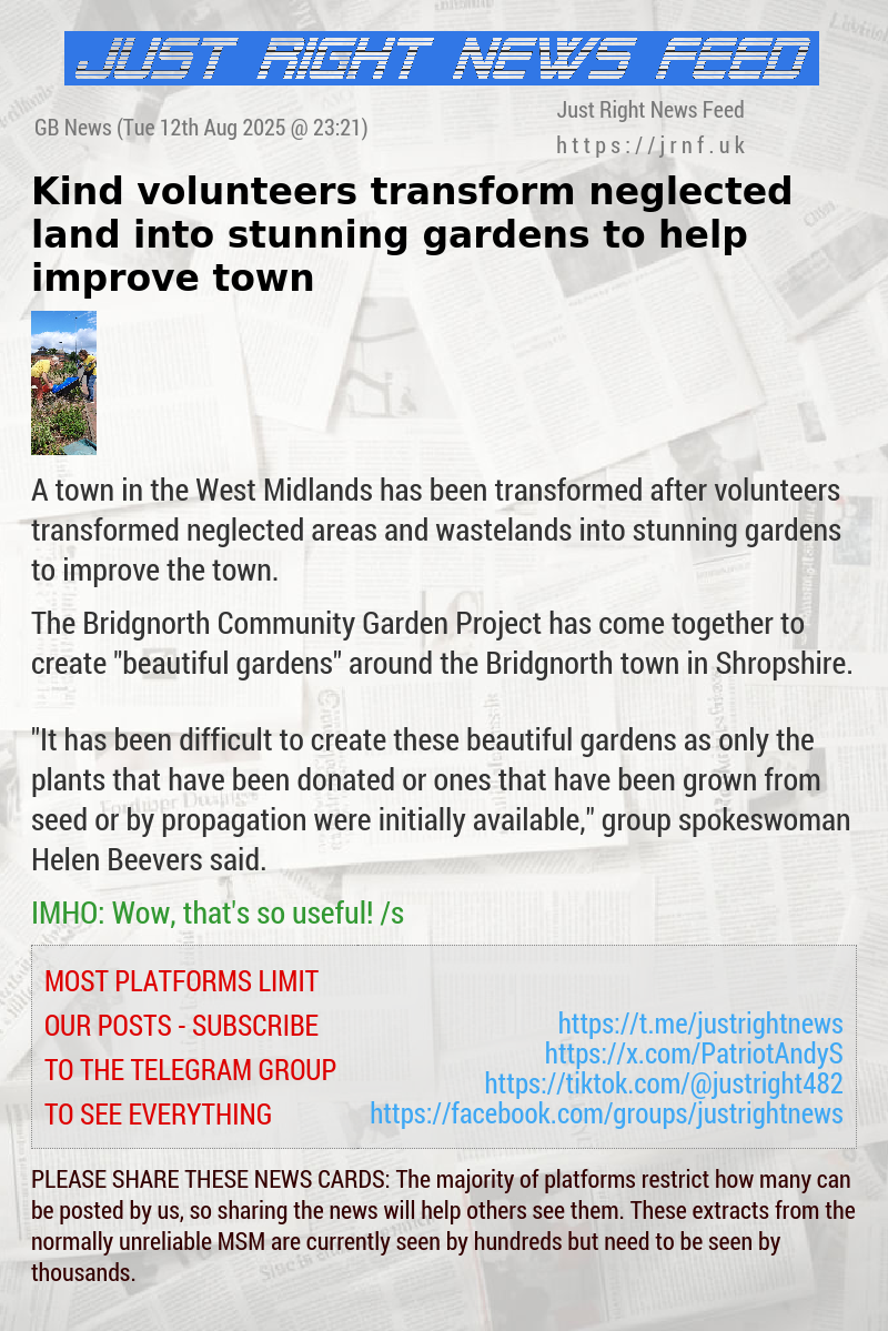 Kind volunteers transform neglected land into stunning gardens to help improve town