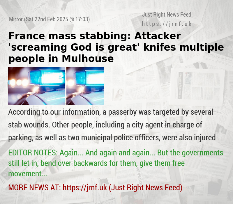 France mass stabbing: Attacker ’screaming God is great’ knifes multiple people in Mulhouse