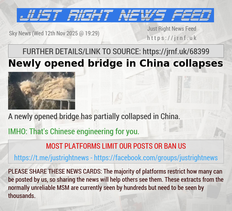 Newly opened bridge in China collapses