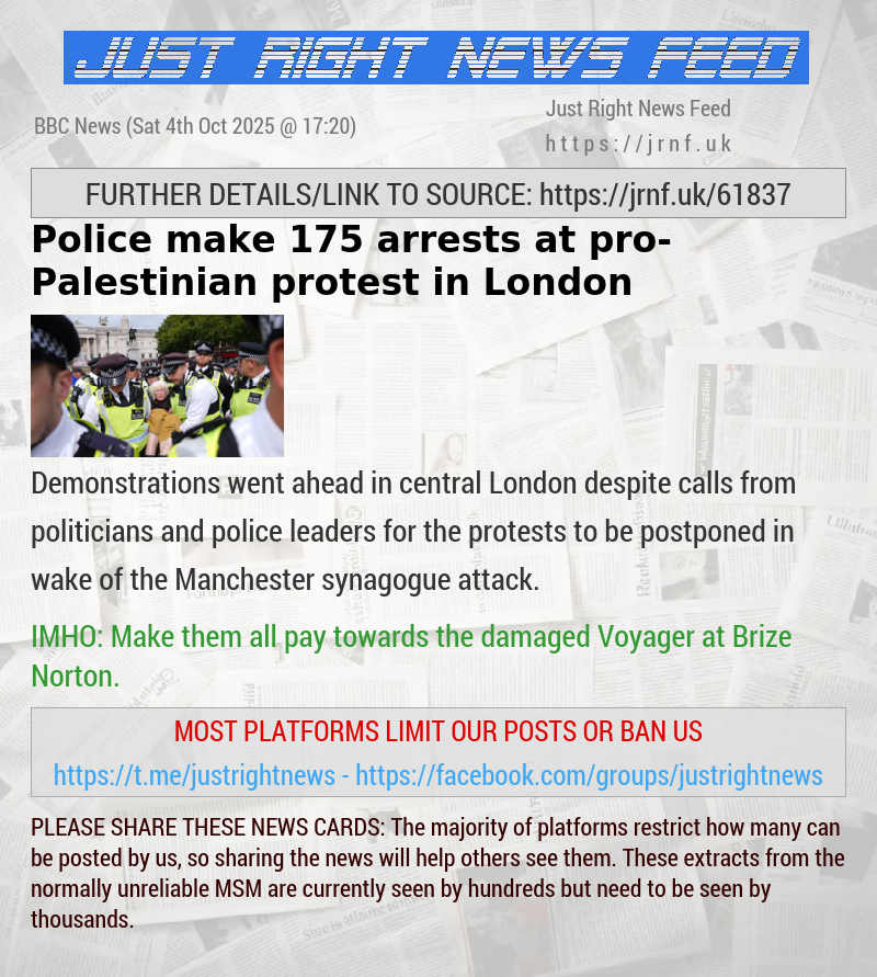 Police make 175 arrests at pro—Palestinian protest in London