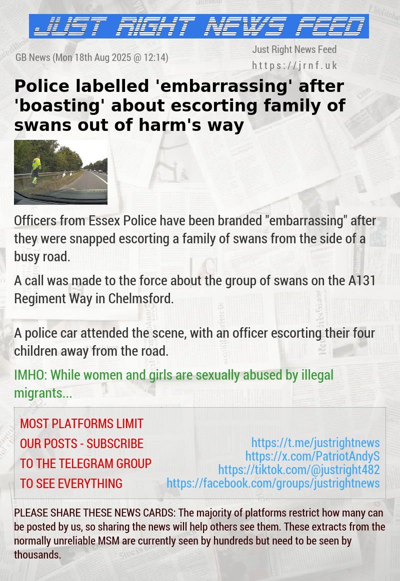 Police labelled ’embarrassing’ after ’boasting’ about escorting family of swans out of harm’s way