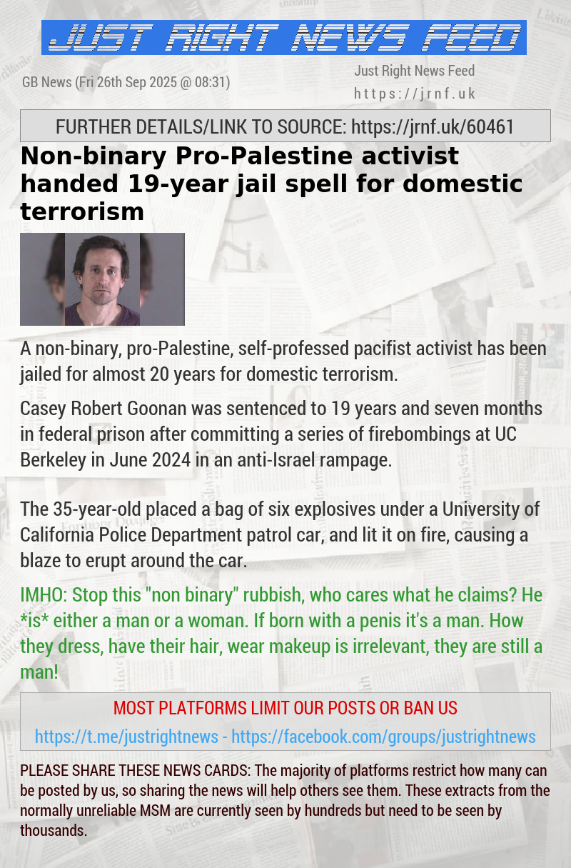 Non—binary Pro—Palestine activist handed 19—year jail spell for domestic terrorism
