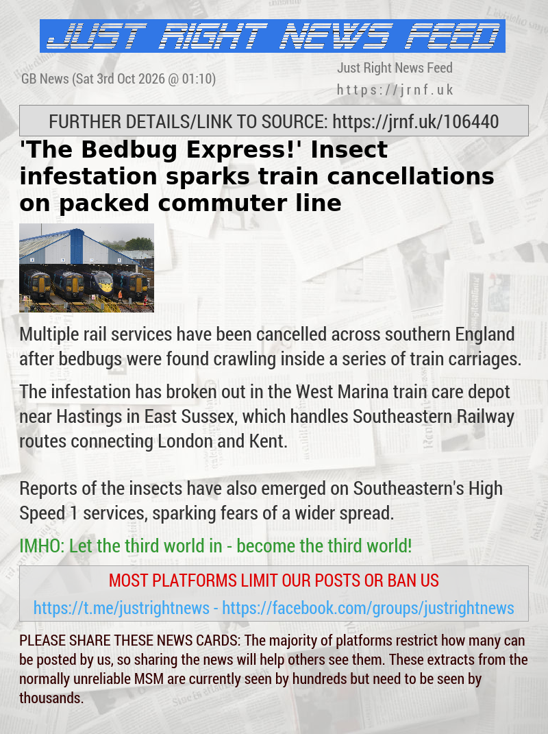 ’The Bedbug Express!’ Insect infestation sparks train cancellations on packed commuter line