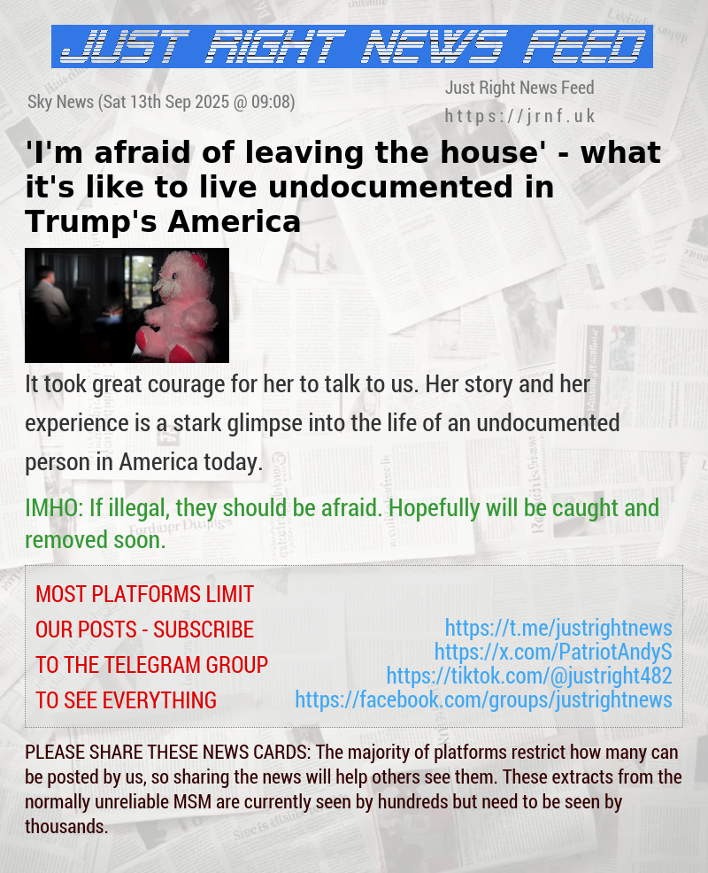 ’I’m afraid of leaving the house’ — what it’s like to live undocumented in Trump’s America
