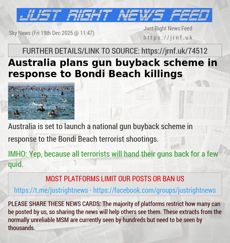 Australia plans gun buyback scheme in response to Bondi Beach killings 