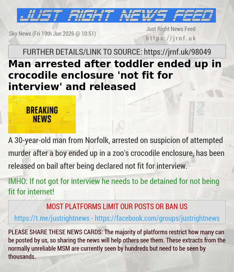 Man arrested after toddler ended up in crocodile enclosure ’not fit for interview’ and  released