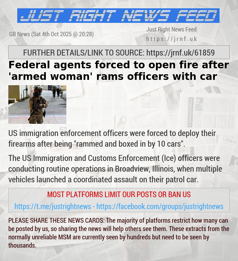 Federal agents forced to open fire after ’armed woman’ rams officers with car