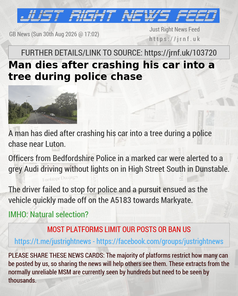 Man dies after crashing his car into a tree during police chase