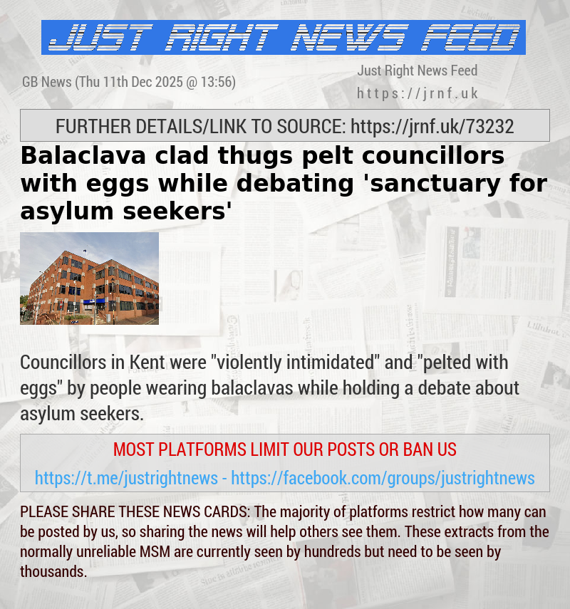 Balaclava—clad thugs pelt councillors with eggs while debating ’sanctuary for asylum seekers’
