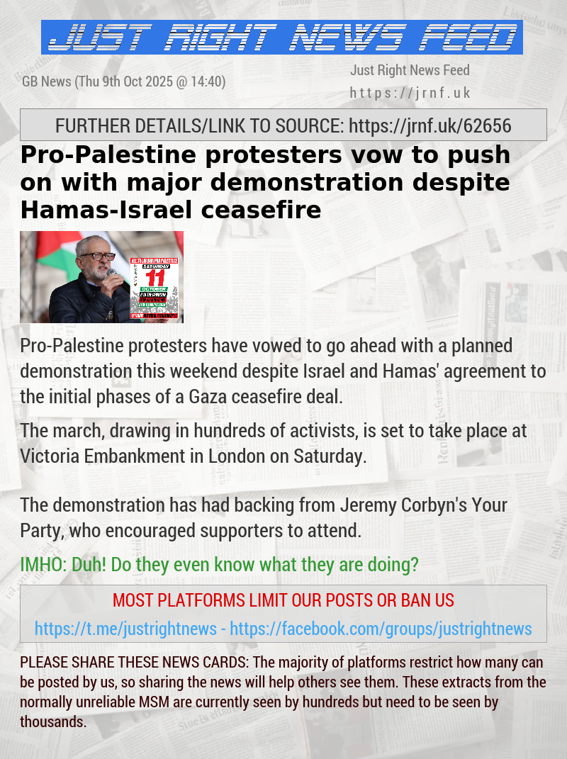 Pro—Palestine protesters vow to push on with major demonstration despite Hamas—Israel ceasefire