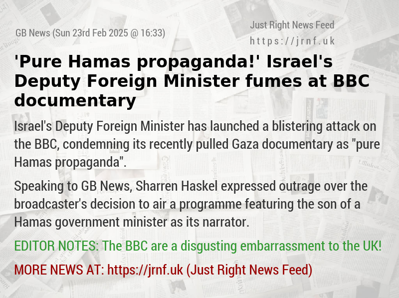 ’Pure Hamas propaganda!’ Israel’s Deputy Foreign Minister fumes at BBC documentary