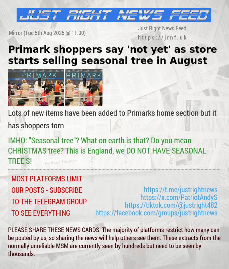 Primark shoppers say ’not yet’ as store starts selling seasonal tree in August