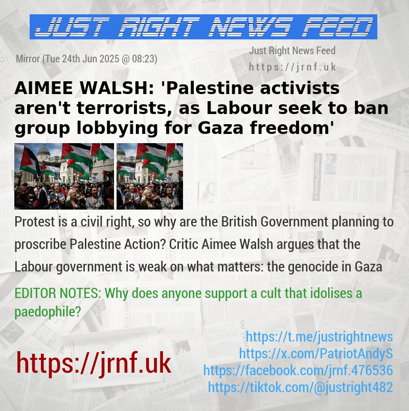 AIMEE WALSH: ’Palestine activists aren’t terrorists, as Labour seek to ban group lobbying for Gaza freedom’