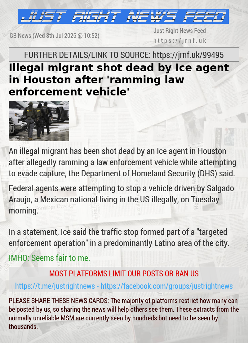 Illegal migrant shot dead by Ice agent in Houston after ’ramming law enforcement vehicle’