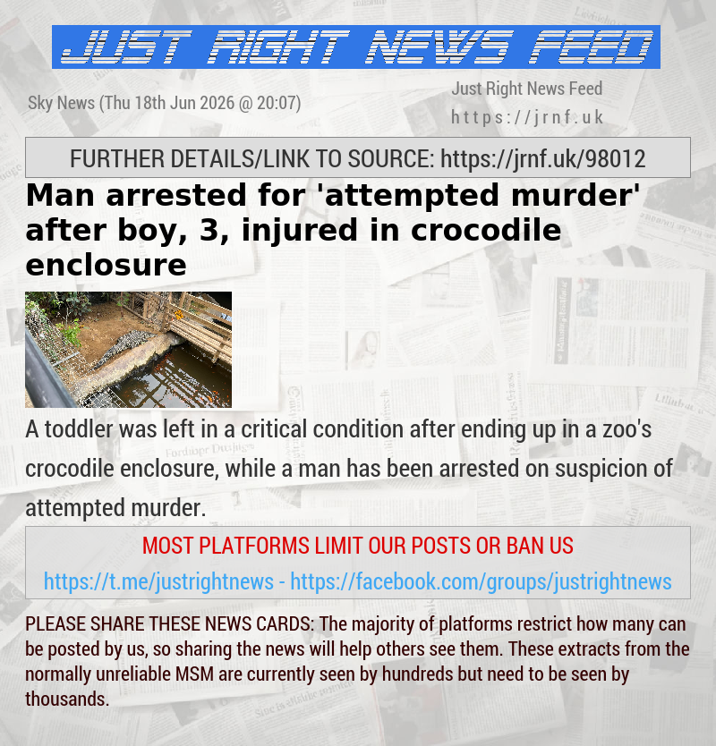 Man arrested for ’attempted murder’ after boy, 3, injured in crocodile enclosure