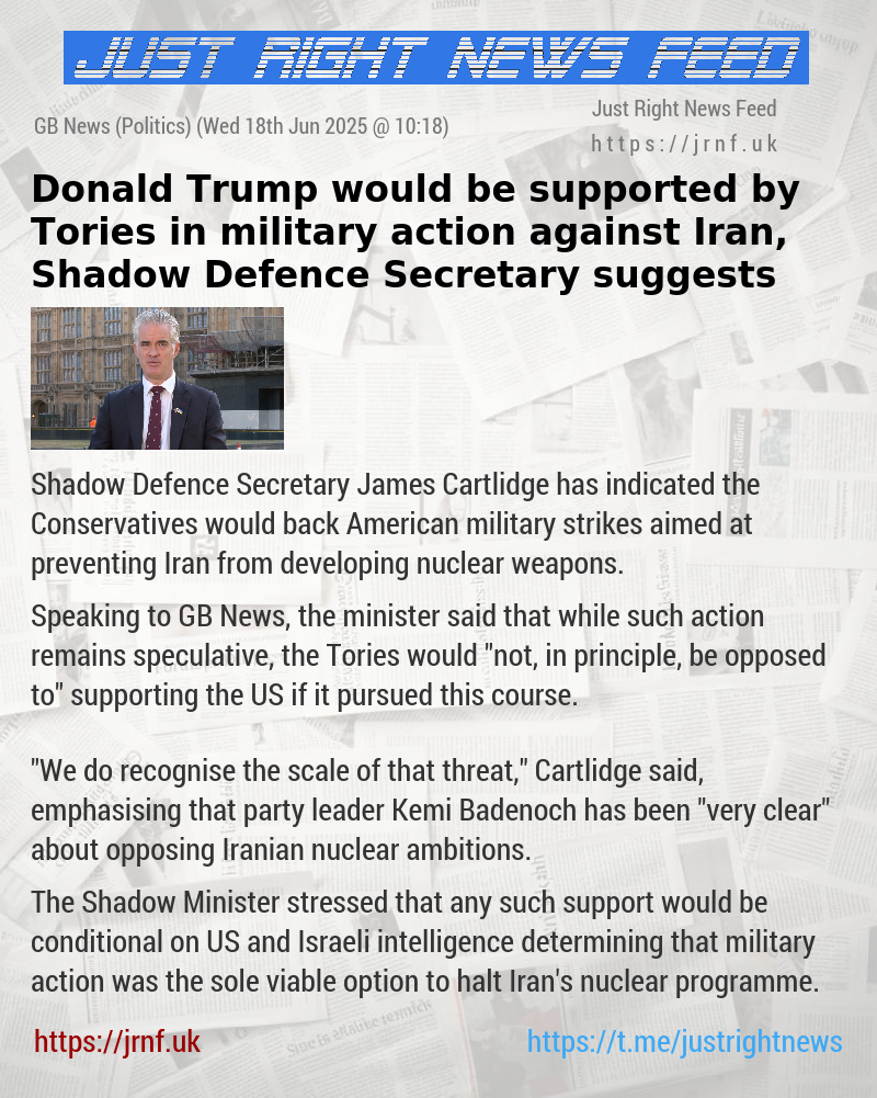 Donald Trump would be supported by Tories in military action against Iran, Shadow Defence Secretary suggests