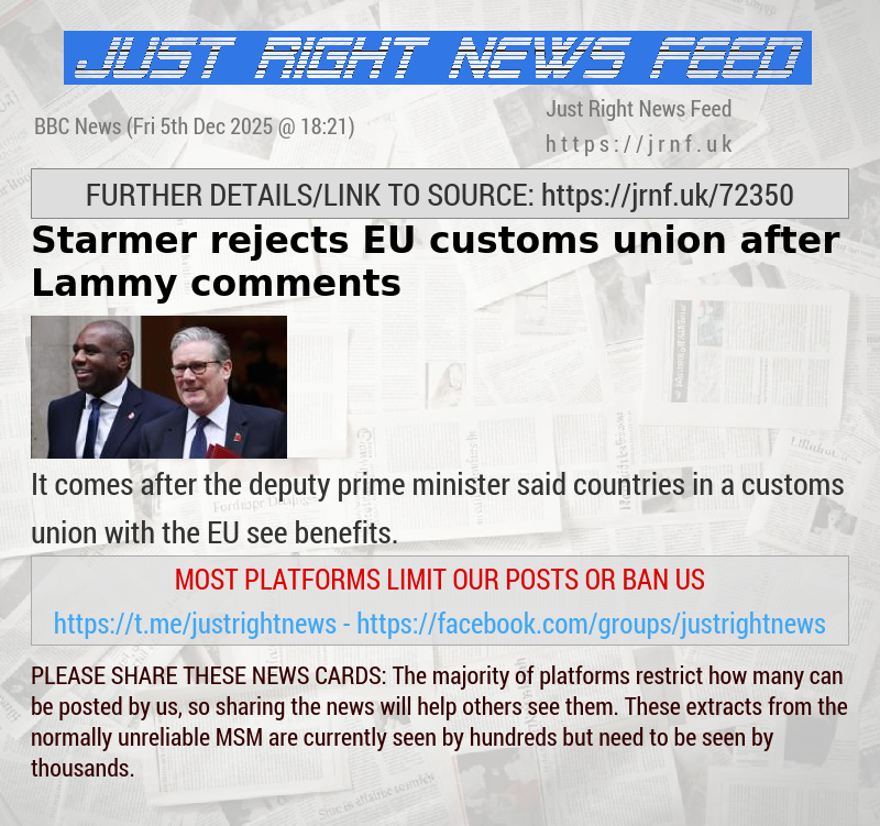 Starmer rejects EU customs union after Lammy comments