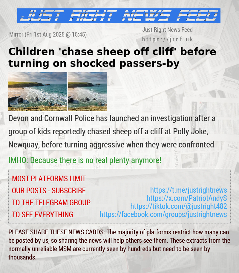 Children ’chase sheep off cliff’ before turning on shocked passers—by