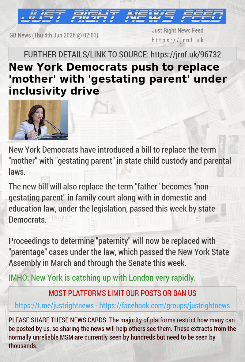 New York Democrats push to replace ‘mother’ with ‘gestating parent’ under inclusivity drive