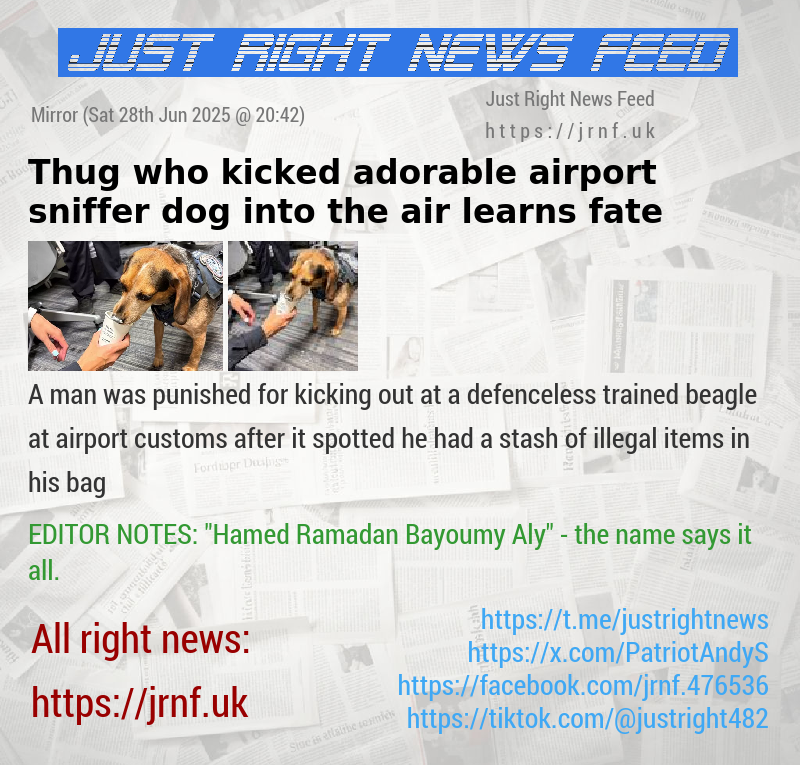 Thug who kicked adorable airport sniffer dog into the air learns fate