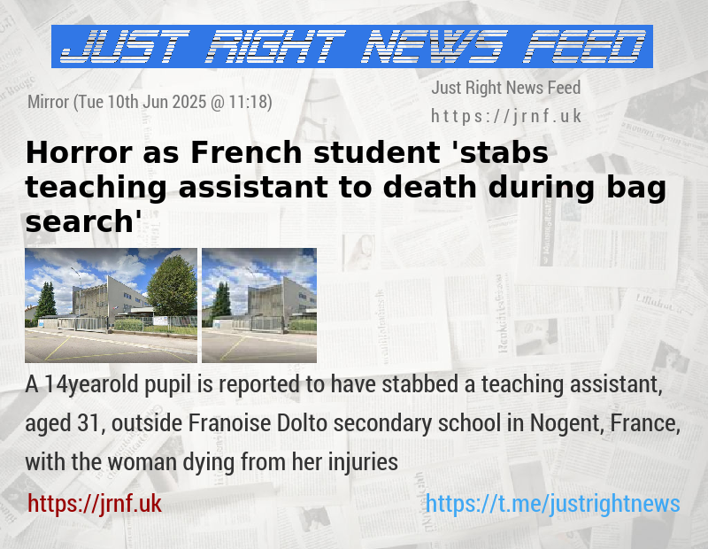 Horror as French student ’stabs teaching assistant to death during bag search’