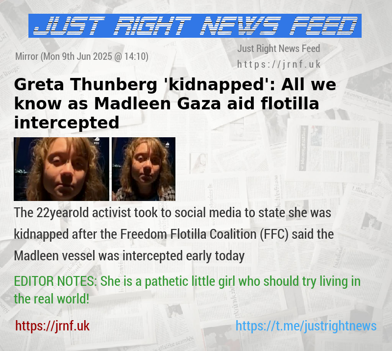Greta Thunberg ’kidnapped’: All we know as Madleen Gaza aid flotilla intercepted