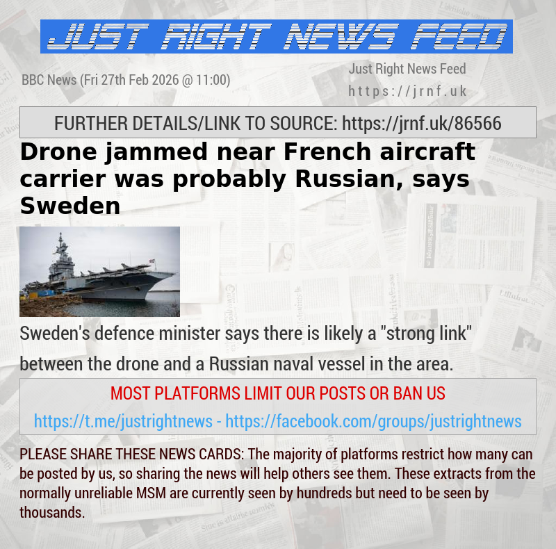 Drone jammed near French aircraft carrier was probably Russian, says Sweden